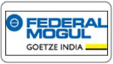 Federal Mogul Goetze